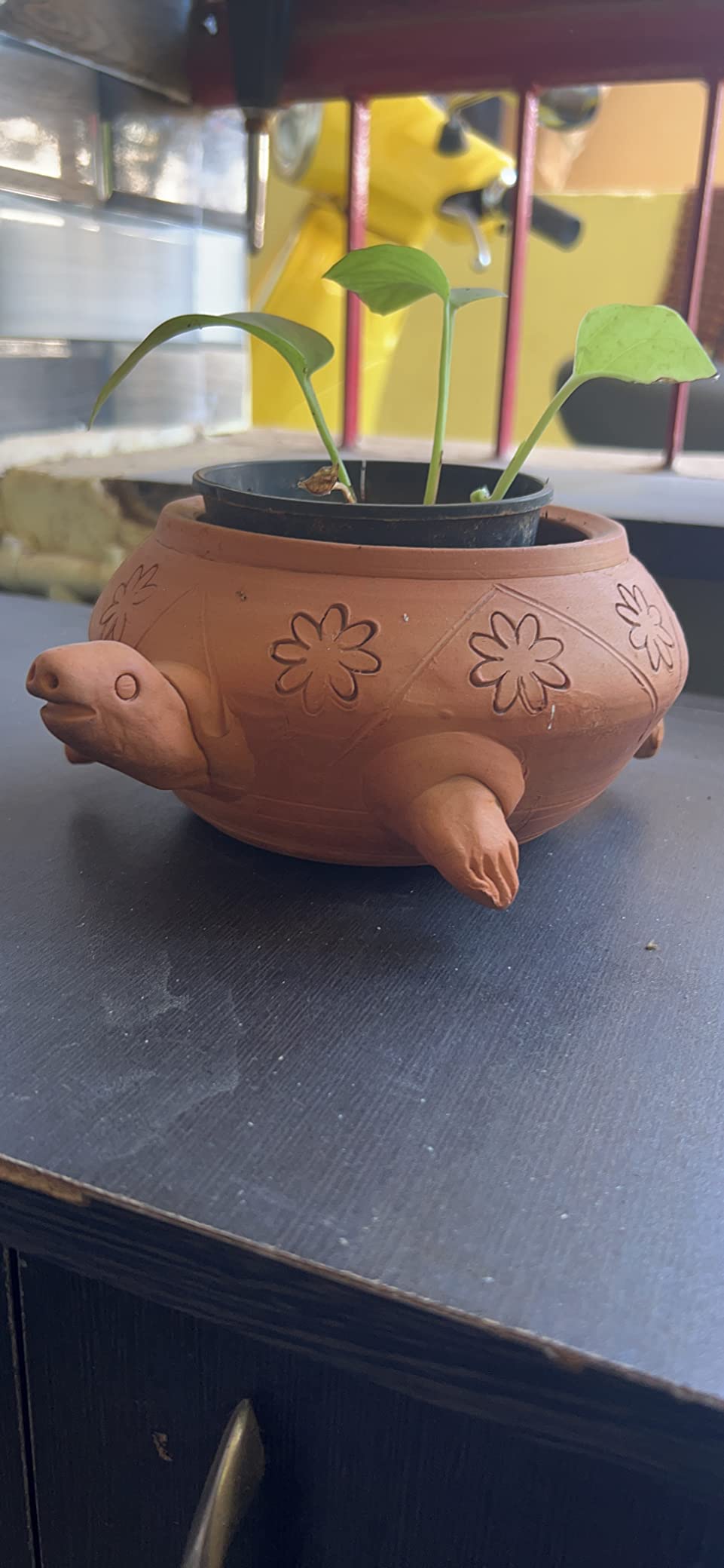 Khavi Arts Handmade Terracotta Clay Tortoise Shaped Pot/ Planter for Indoor Plants| Vastu Tortoise for Home Decor or Showpiece or Key Holder| Handmade Pottery