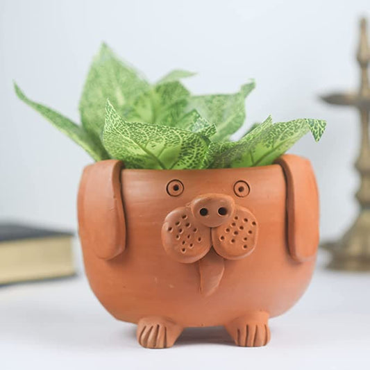 Khavi Arts Handmade Terracotta Clay Dog Shaped Pot/ Planter | Ideal for Home Decor| Eco Friendly