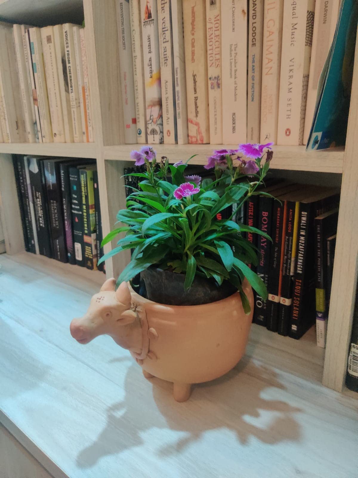 Khavi Arts Handmade Terracotta Clay Cow Shaped Pot/ Planter | Ideal for Home Decor| Eco Friendly