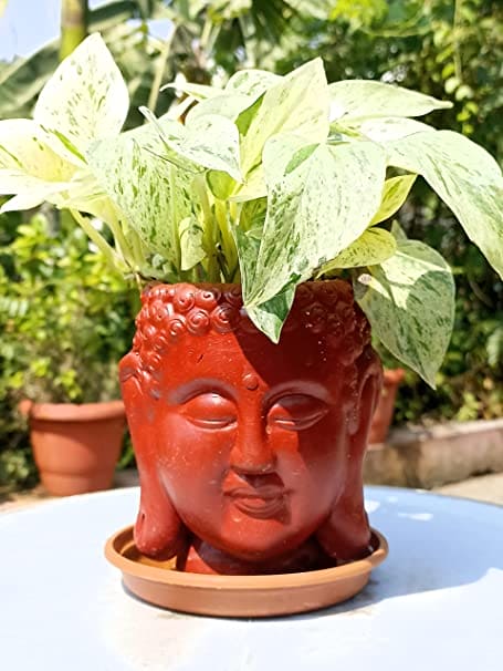 Khavi Arts Terracotta Clay Buddha Pot / Planter for Indoor Plants | Ideal for Home Decor or Showpiece or as Key Holder